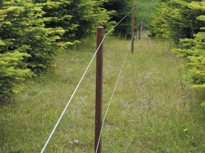 IsoWood FSC® afstandsbat 92,5 mm