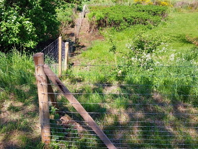 Fårehegn 100 cm med 15 tråde, 50 meters rulle
