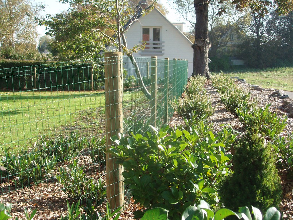 Grønt havehegn – Premium  -  5x10 cm masker, plastbelagt, 25 m