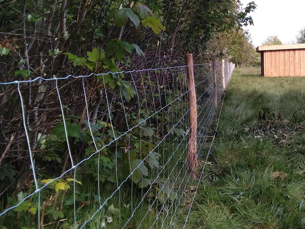 Vildthegn til skov og natur - knyttet knude - fra højde 140 - 170 cm.