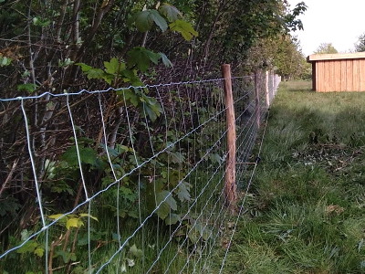 Vildthegn til skov og natur - knyttet knude - fra højde 140 - 170 cm.