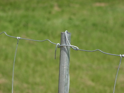 Jernrør ½" til skovhegn, 150 cm