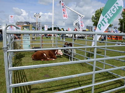 Panel til fangefold 300x170 cm