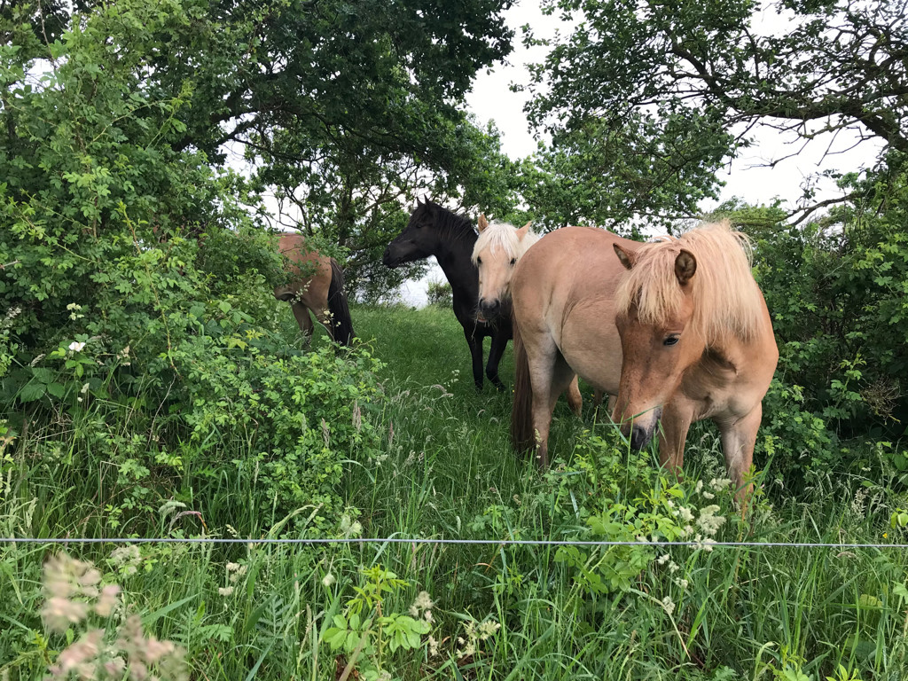 Super Wire 2,5 mm – 25 kg / 675 meter – High Tensile