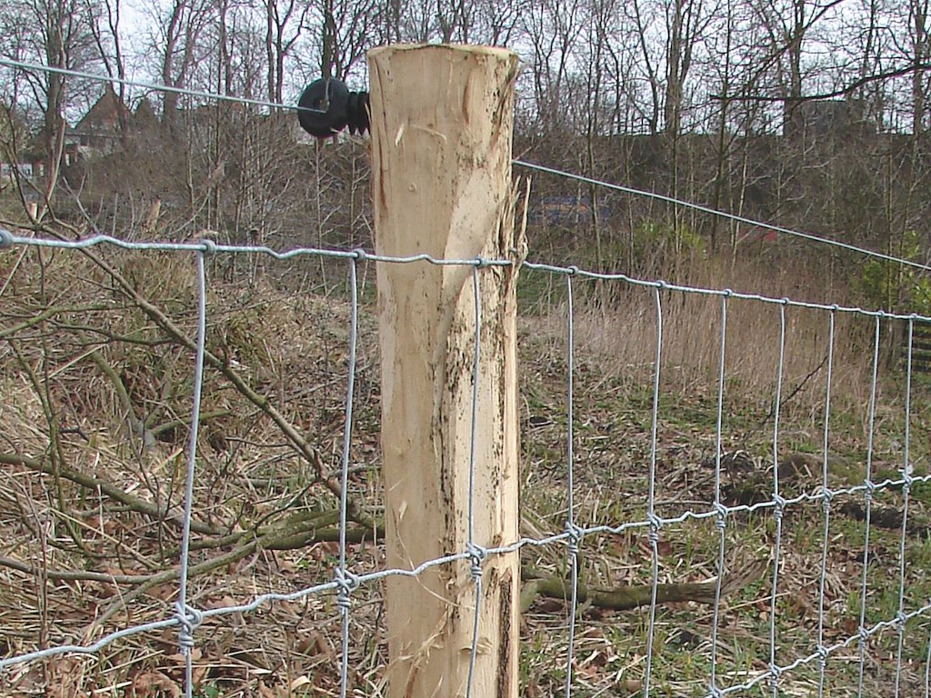 Skovhegn med tightlock knude 200 cm med 17 tråde, 100 meters rulle