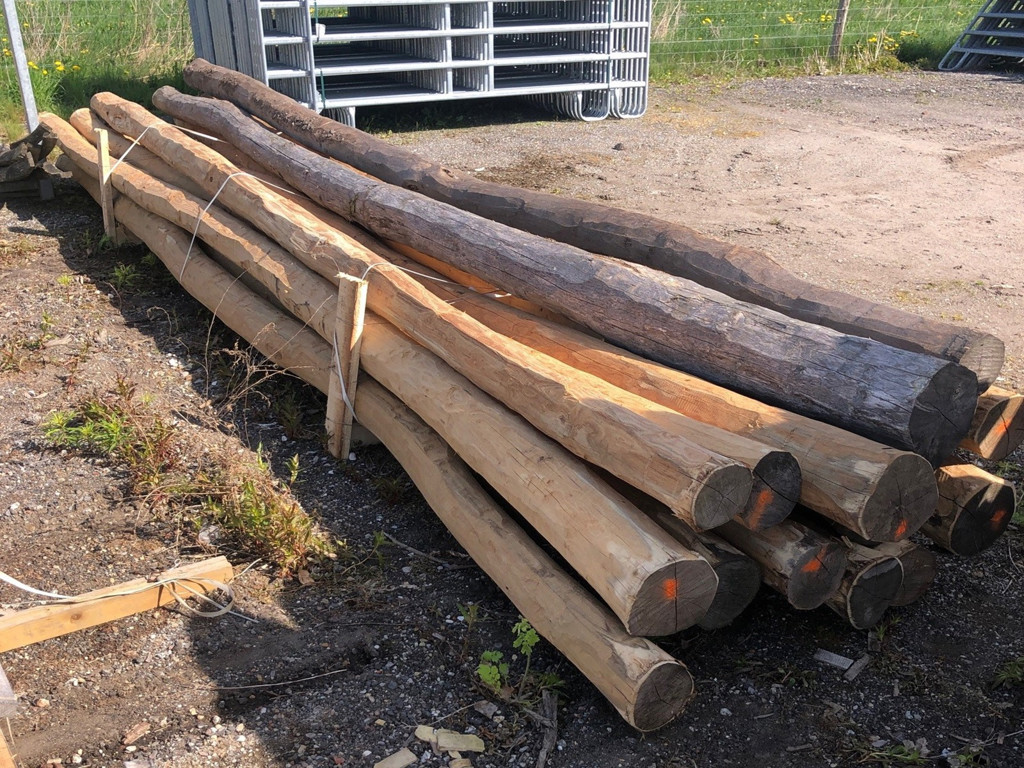 Rund robiniepæl FSC® Ø16–20 cm 600 cm