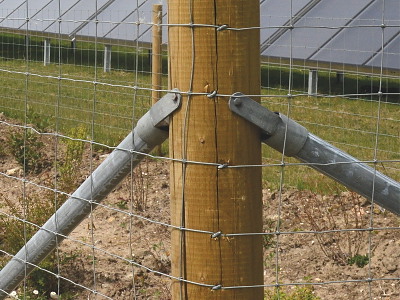 Kramper 3,5 × 35 mm – 5 kg spand