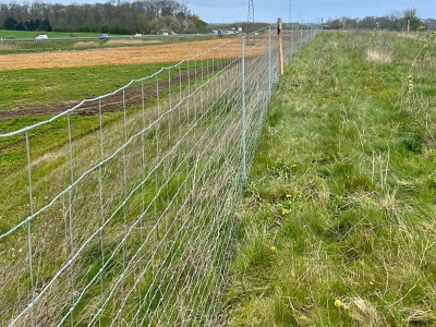 Skovhegn 140 cm med 20 tråde, 100 meters rulle