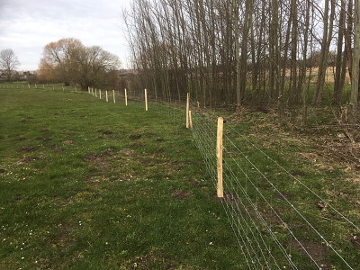 X-net 90 cm med 8 tråde og 30 cm afstand, 100 meters rulle