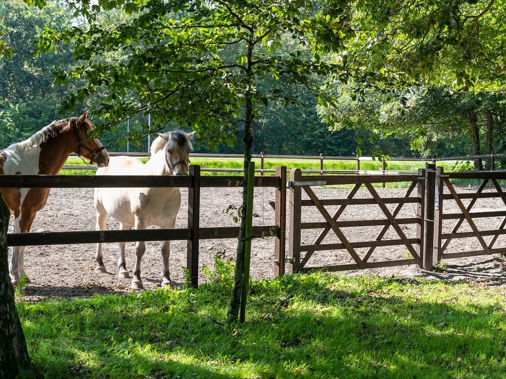Trælåge i hårdttræ – 240 x 120 cm