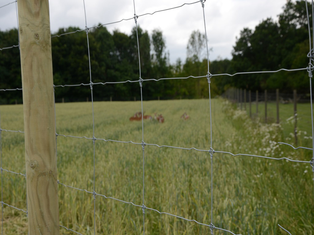 Tightlock net 17 tr., 200cm, 100 mtr.