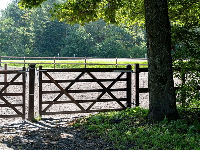 Trælåge i hårdttræ – 300 x 120 cm