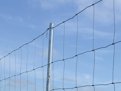 Jernrør ½" til skovhegn, 233 cm