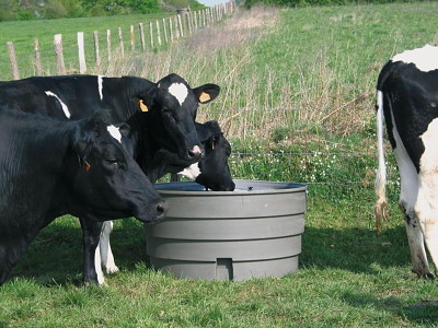 SUPERBAC drikkekar 1000 liter  