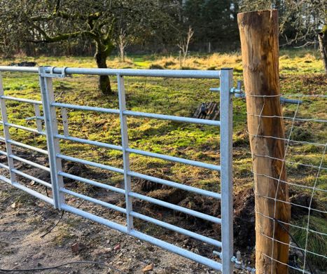 Hegn til Liv Martine - PIT Hegn. Robiniepæle, stållåger og kraftigt nethegn.
