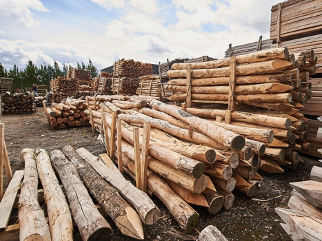 Hegnspæle og stolper til hegn. Kvalitets robiniepæle med naturlig resistens mod råd