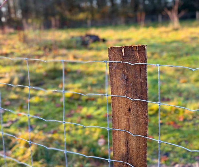 Hegn til Liv Martine - PIT Hegn. Robiniepæle, stållåger og kraftigt nethegn.
