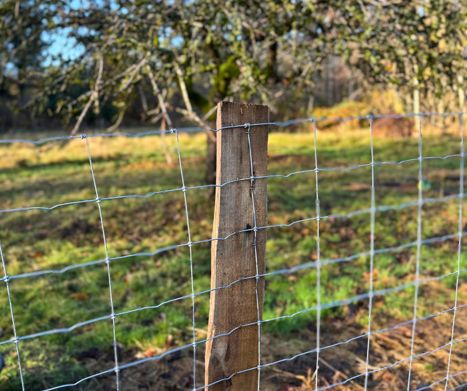 Hegn til Liv Martine - PIT Hegn. Robiniepæle, stållåger og kraftigt nethegn.
