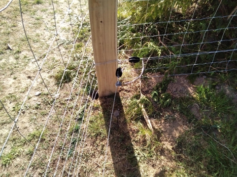 Nethegn til dyr og skov. Sikker indhegning med ekstra tråd og elhegn