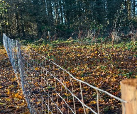 Hegn til Liv Martine - PIT Hegn. Robiniepæle, stållåger og kraftigt nethegn.